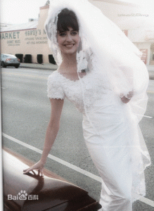 暴风雪中的白鸟